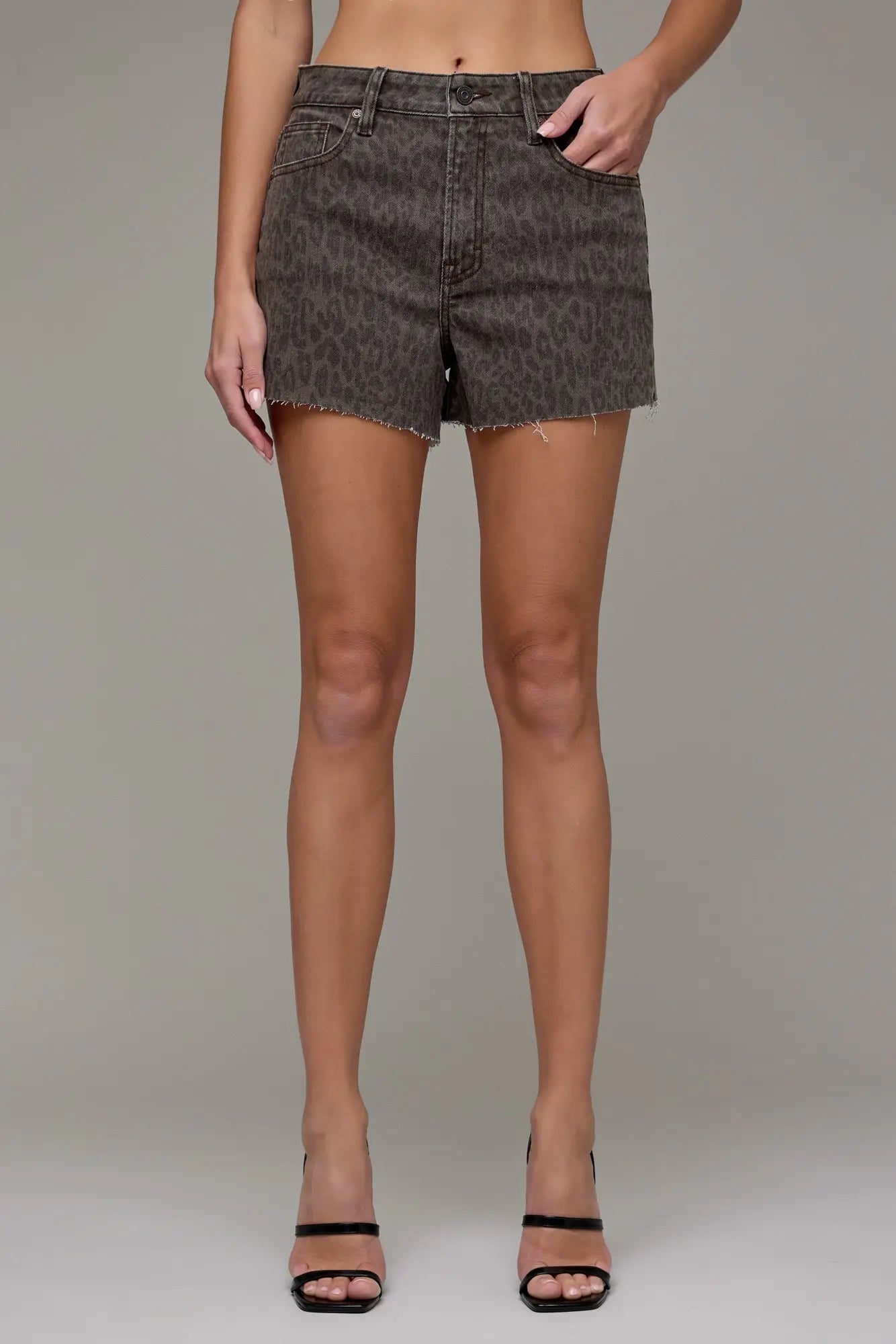 Hidden Logan Brown Cheetah Denim Shorts